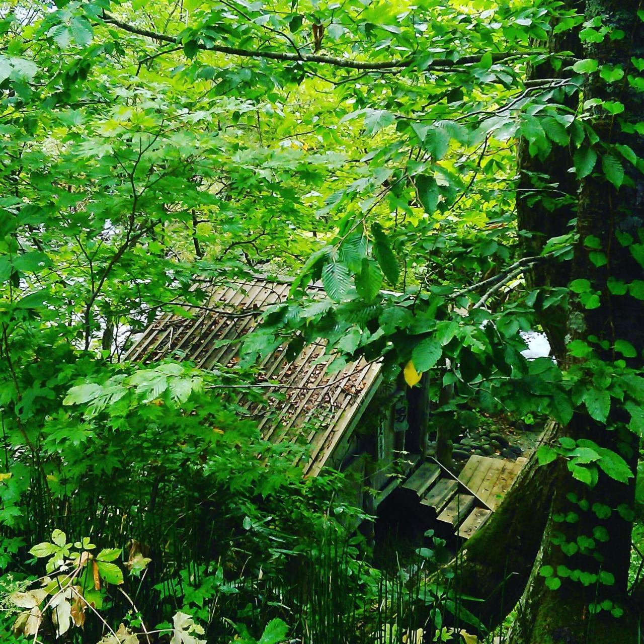 Nurukawa Onsen Hotel Hirakawa ภายนอก รูปภาพ